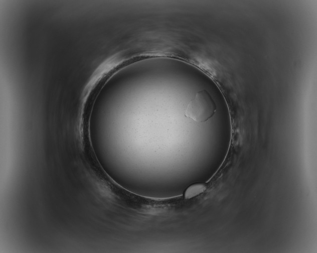 X0000086890296200704161255