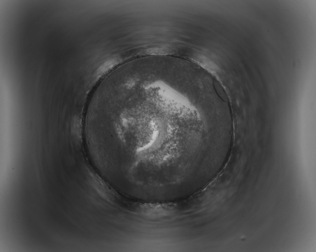 X0000086890297200704161255