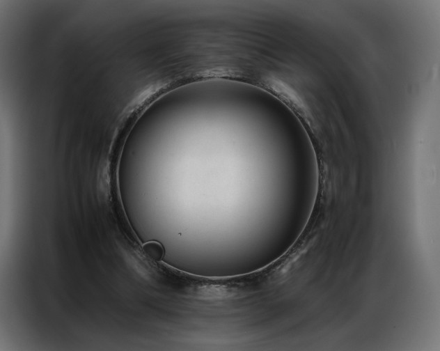 X0000086890298200704161255