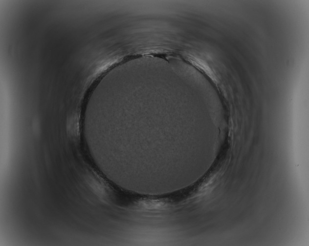 X0000086890299200704161255