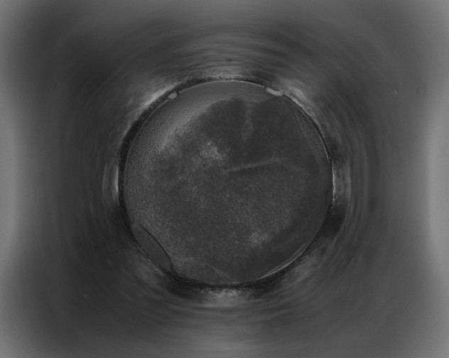 X0000086890301200704161255