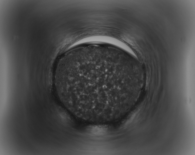 X0000086890303200704161255