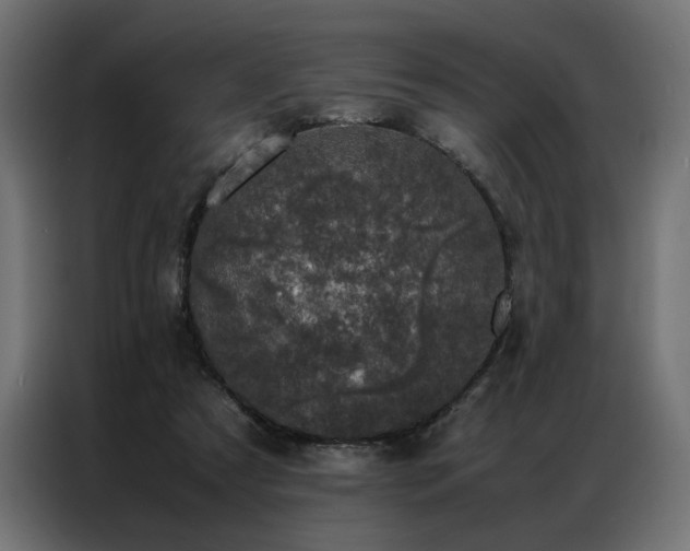 X0000086890305200704161255