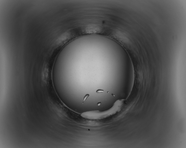 X0000086890308200704161255