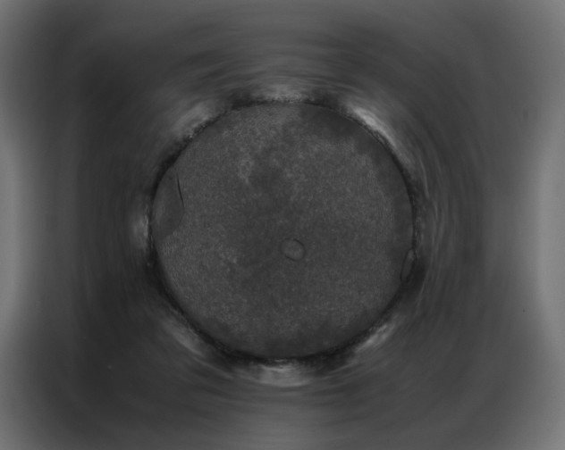 X0000086890309200704161255