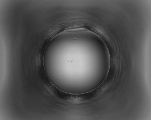 X0000086890311200704161255