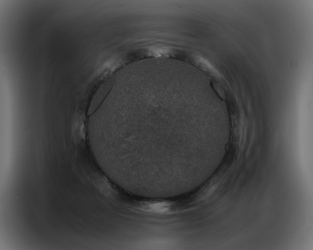 X0000086890313200704161255