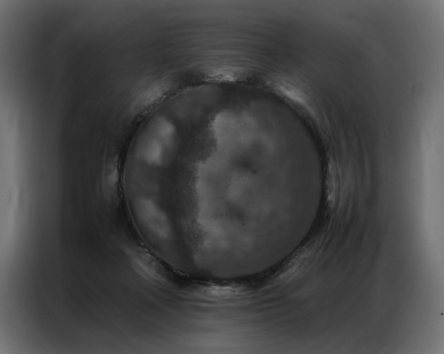 X0000086890314200704161255