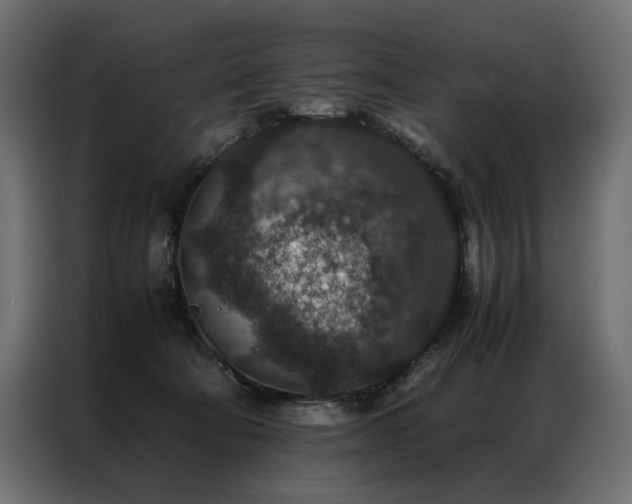 X0000086890322200704161255