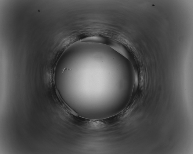 X0000086890333200704161254