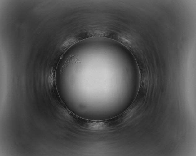 X0000086890334200704161254