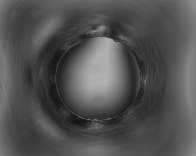 X0000086890335200704161254