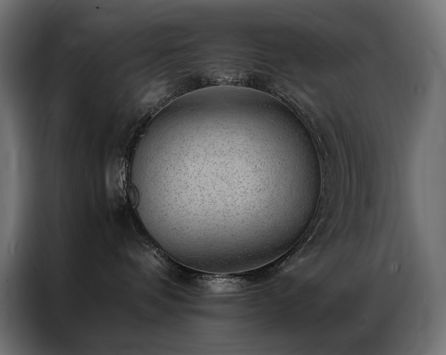 X0000086890336200704161254