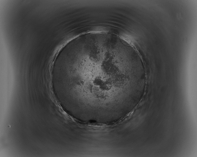 X0000086890337200704161253