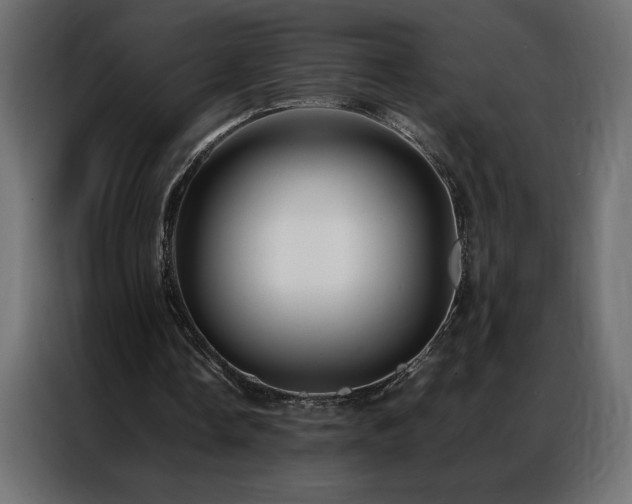 X0000086890338200704161253