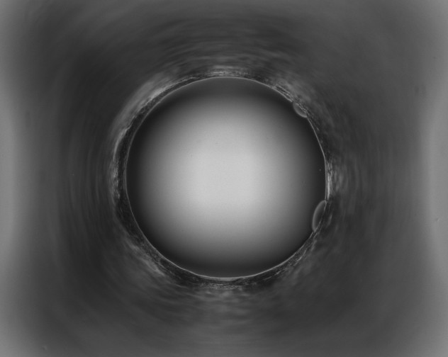 X0000086890339200704161253