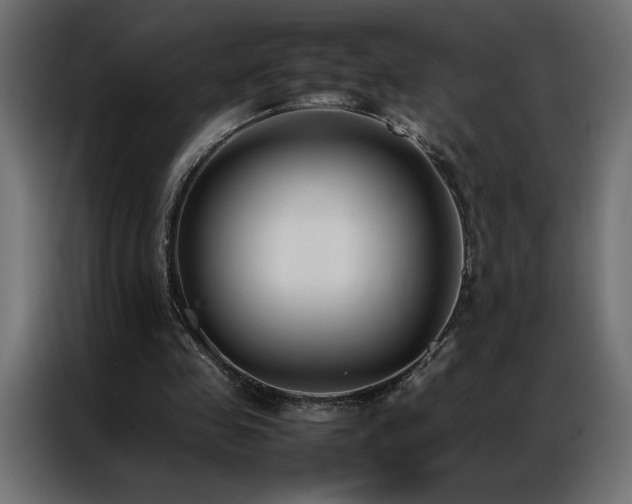 X0000086890341200704161254