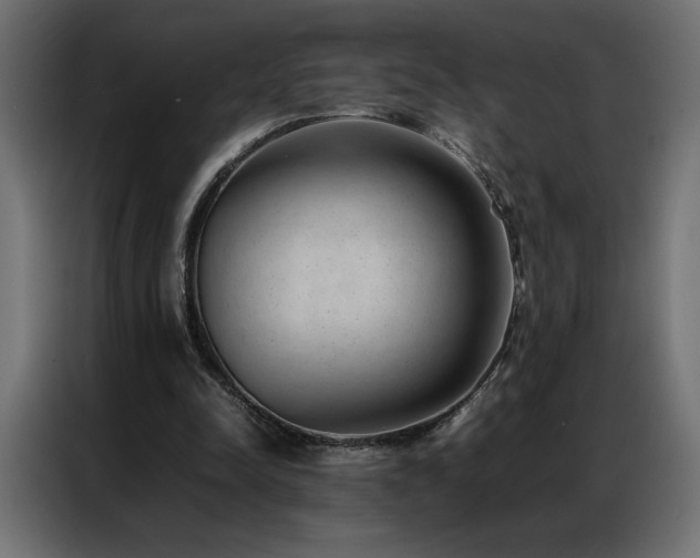 X0000086890342200704161254