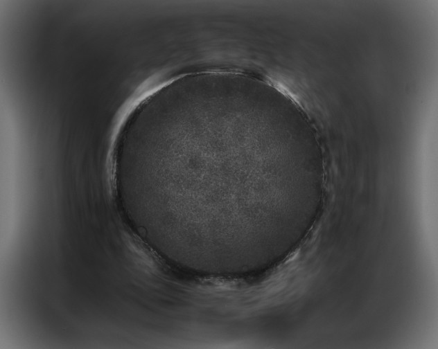 X0000086890343200704161254