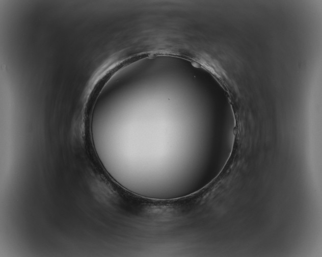 X0000086890344200704161254