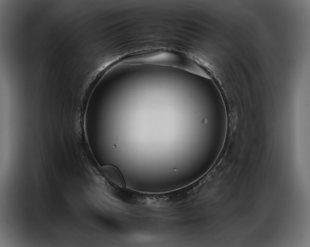 X0000086890345200704161254