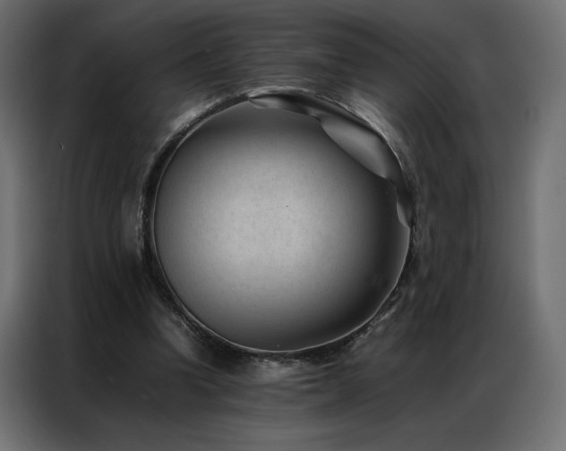 X0000086890346200704161254