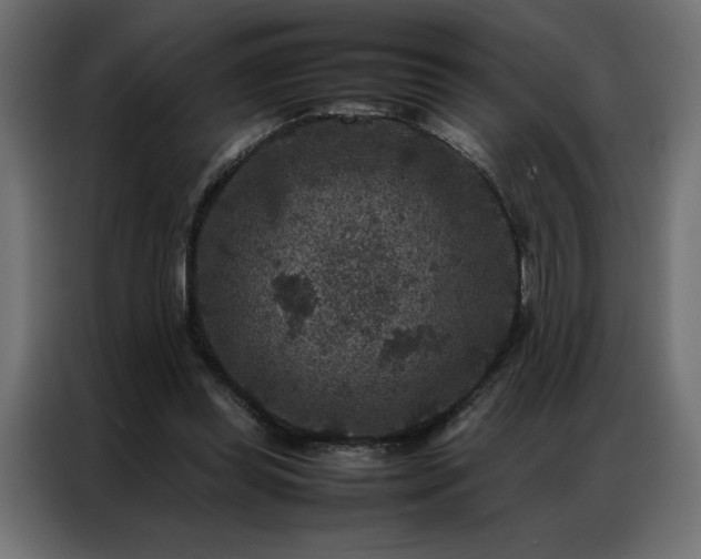 X0000086890349200704161254