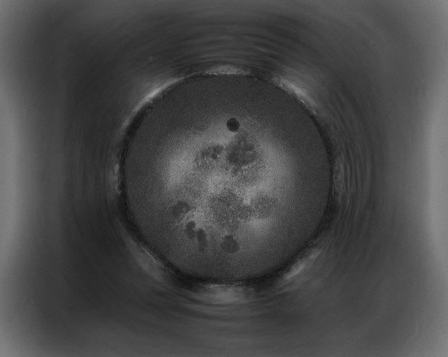 X0000086890351200704161254