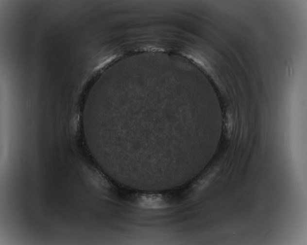 X0000086890355200704161254