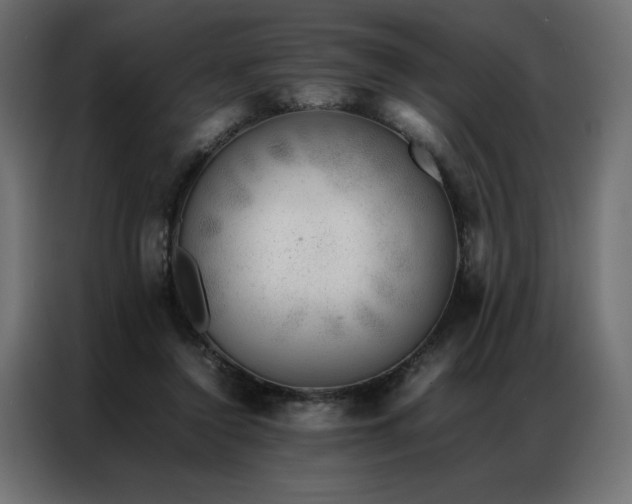 X0000086890356200704161254