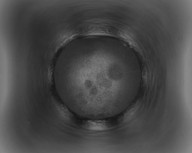 X0000086890359200704161254