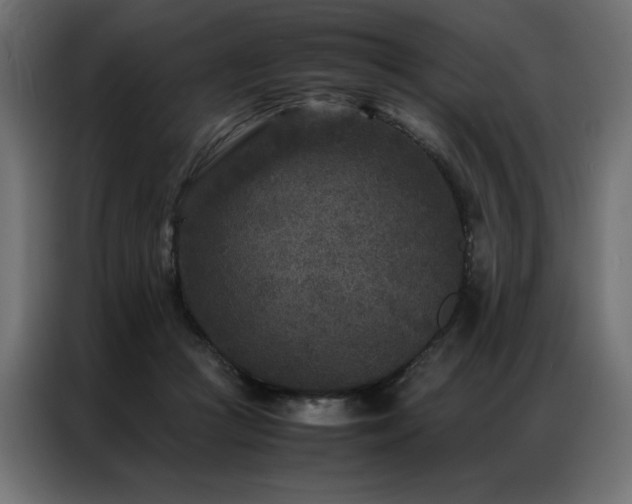 X0000086890361200704161254