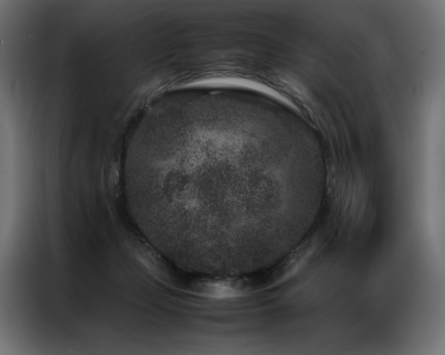 X0000086890365200704161254