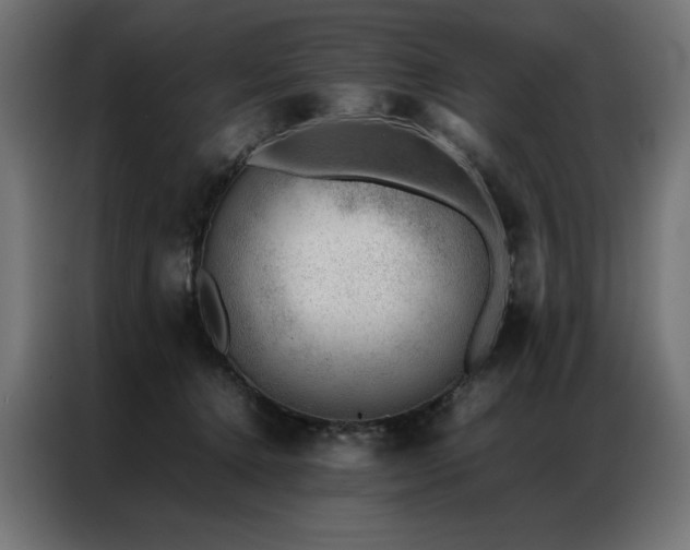 X0000086890368200704161254