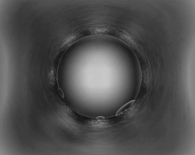 X0000086890378200704161254