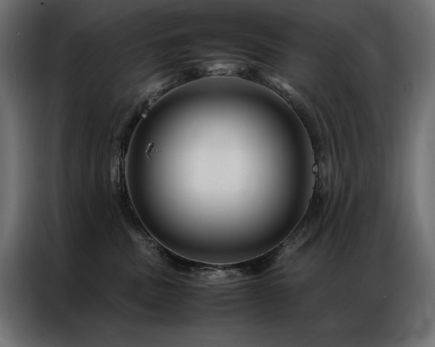 X0000086890379200704161254