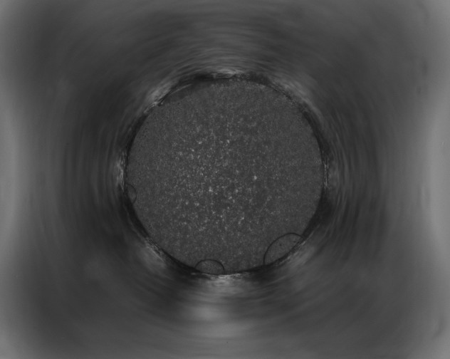 X0000086890382200704161254