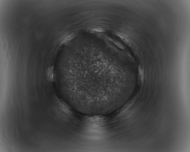 X0000086890383200704161254