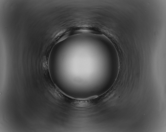 X0000086890384200704161254