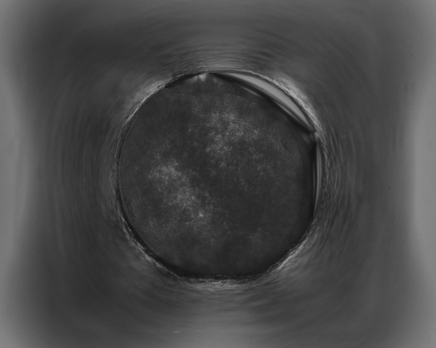 X0000086890385200704161253