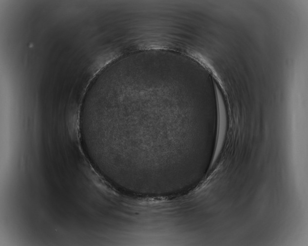 X0000086890386200704161253