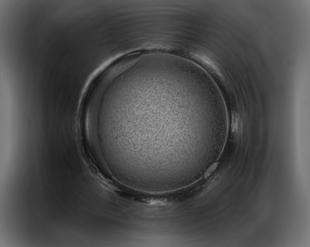 X0000086890388200704161253