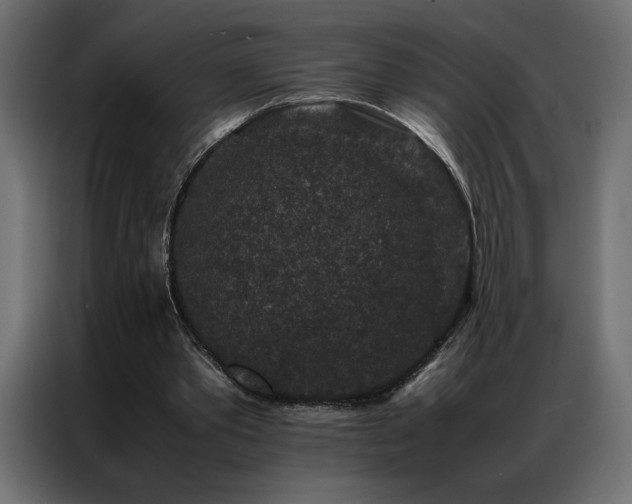 X0000086890389200704161253