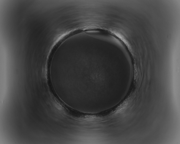 X0000086890391200704161253