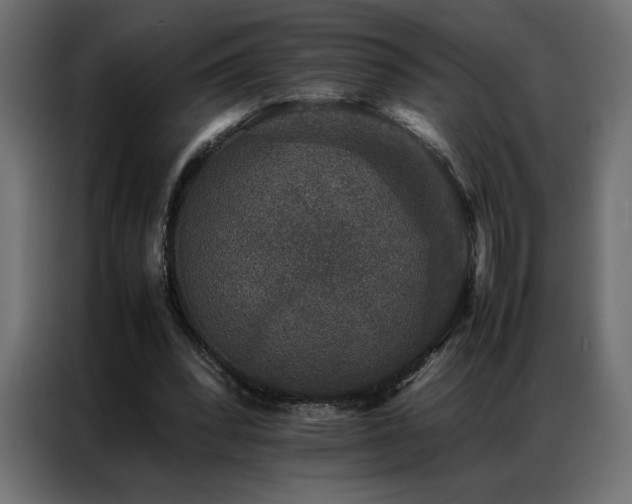 X0000086890392200704161253