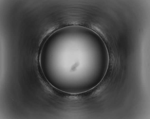 X0000086890394200704161253