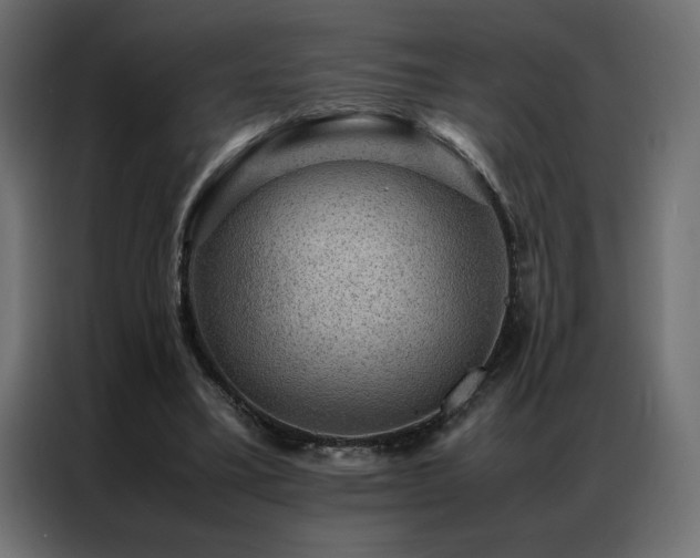 X0000086890395200704161253