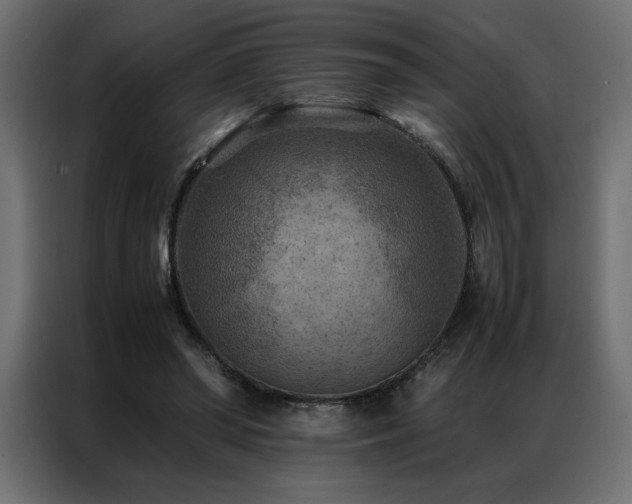 X0000086890398200704161253