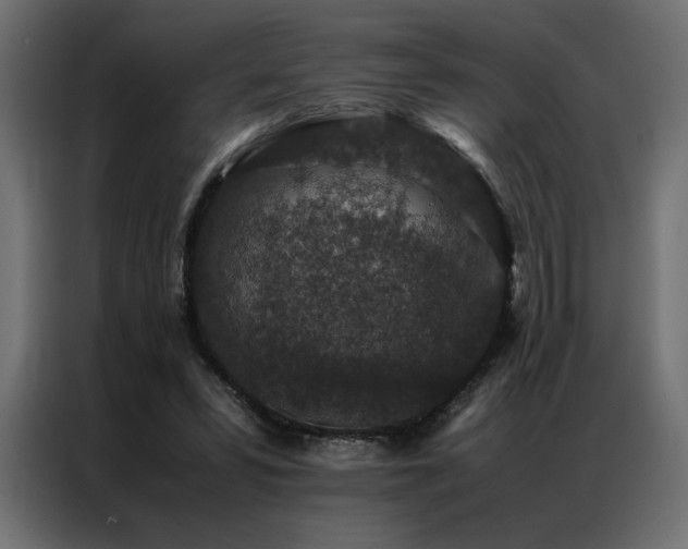 X0000086890399200704161253