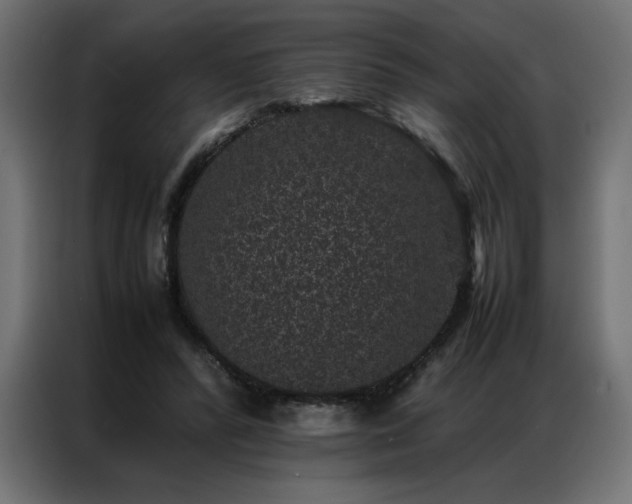 X0000086890400200704161253